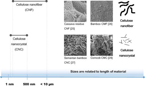 nanocellulose size chart